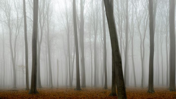 El tiempo - Densas nieblas en el centro peninsular y poco nuboso resto del país