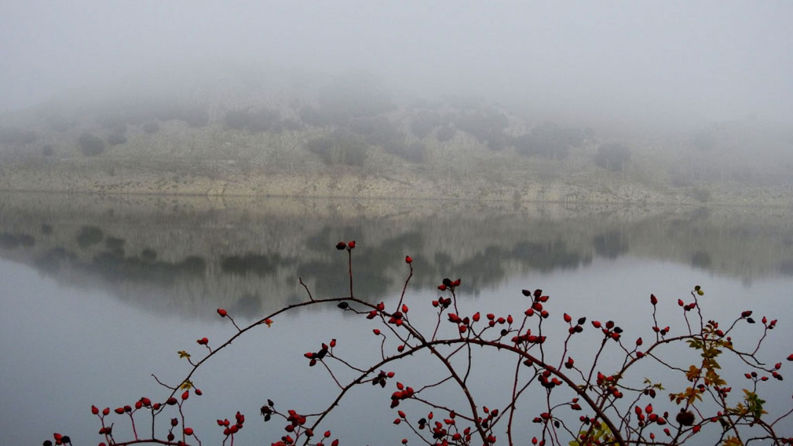 El tiempo: Nieblas en ambas mesetas y entorno del Ebro | RTVE Play