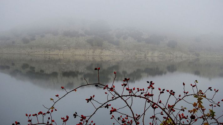 Nieblas en ambas mesetas y entorno del Ebro