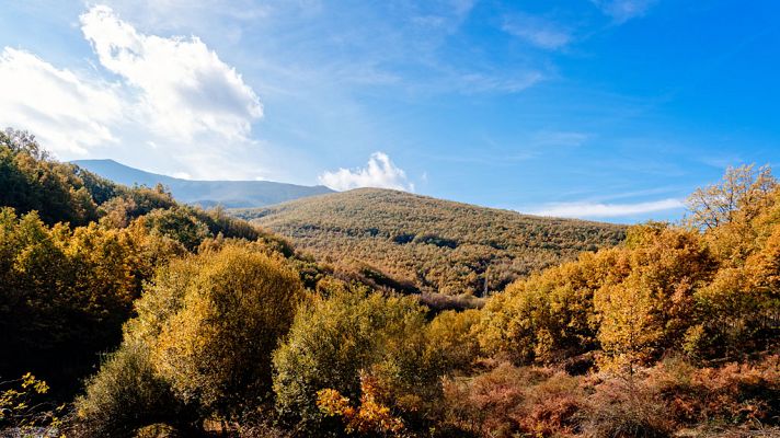 El tiempo - Poco nuboso en casi todo el país salvo alguna niebla