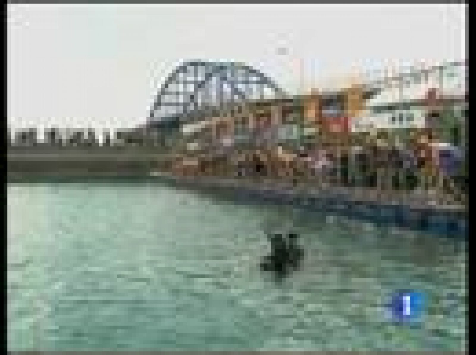 Australia domina en el triatlón | Ver