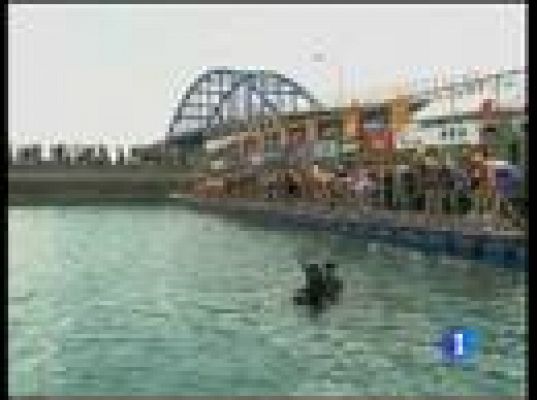 Telediario 1 - Australia domina en el triatlón