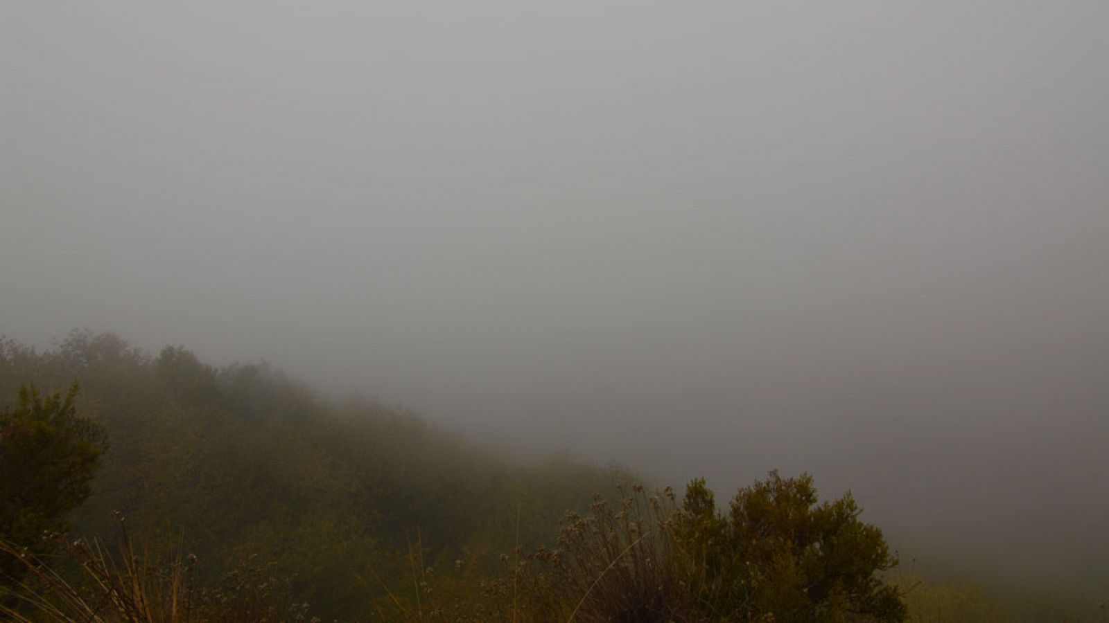 El tiempo: Nieblas en el nordeste y Extremadura, y lluvias en Galicia | RTVE Play