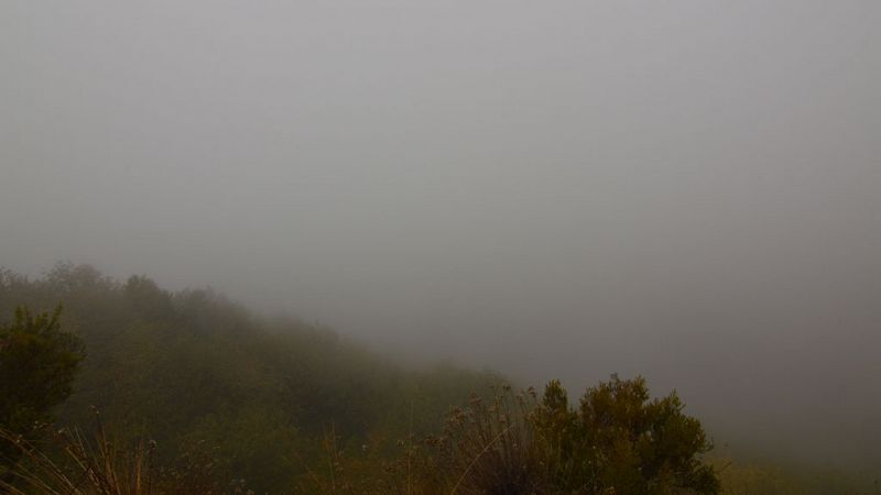 Nieblas en el nordeste y Extremadura, y lluvias en Galicia - Ver ahora