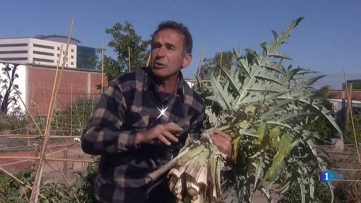 Aquí la Tierra - Cardo, con Navidad o sin ella