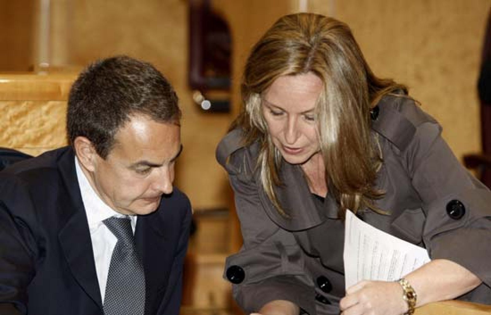 Jiménez confirma en el Senado un segundo caso de gripe porcina - Ciencia y tecnología en Rtve.es | Ver