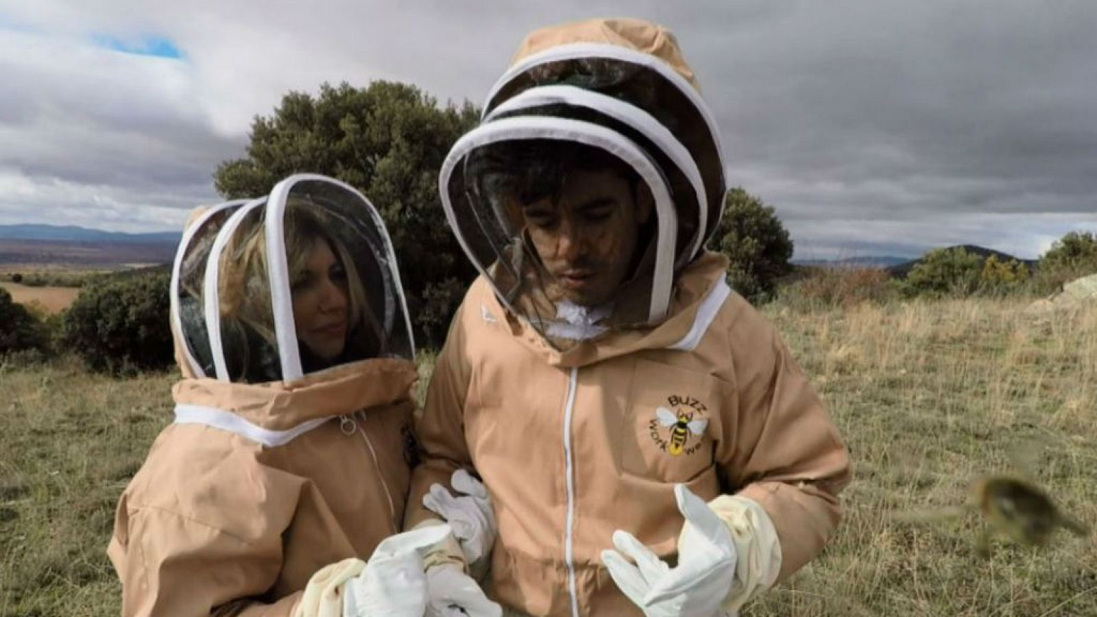 Roi, de Operación Triunfo, y las abejas en Aquí la tierra 