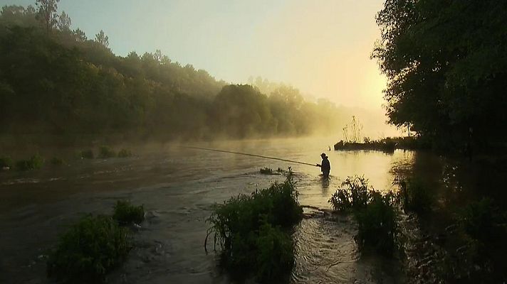 Jara y sedal - Proyecto ARCA