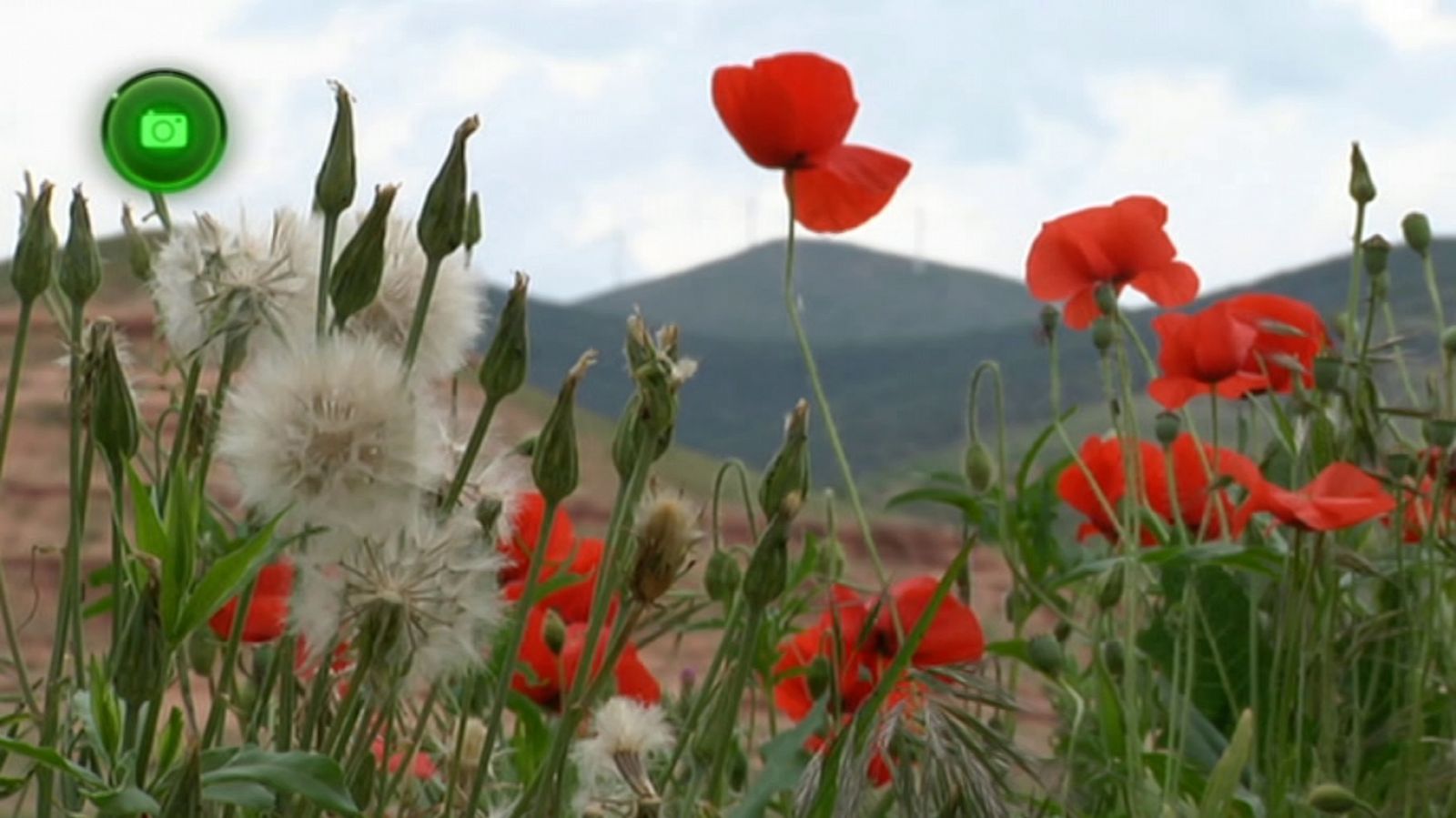Agrosfera - 29/12/18 - ver ahora