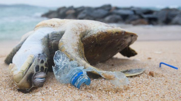 Telediario 1 - Telediario 1 en 4' - 29/12/18