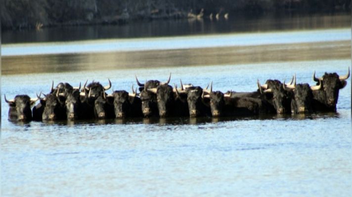 Tendido cero - Tendido cero - 29/12/18