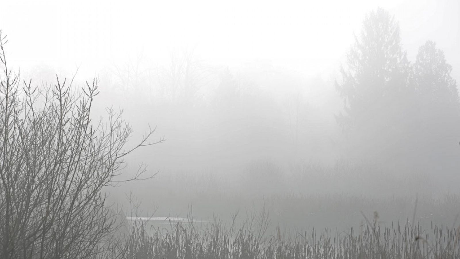 El tiempo: Nieblas en puntos de las depresiones del nordeste peninsular | RTVE Play