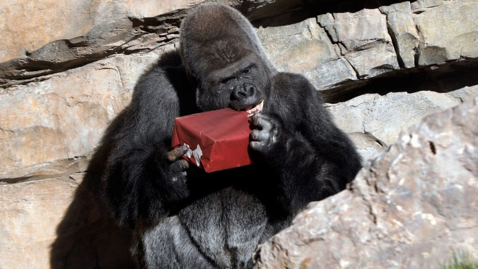 Aquí la Tierra - 04/01/19 - ver ahora