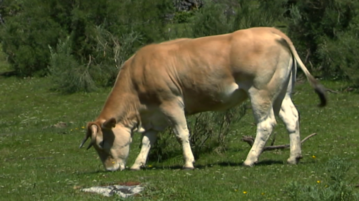 Agrosfera - Agrosfera - 05/01/19