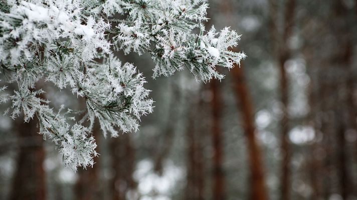 El tiempo - Temperaturas mínimas significativamente bajas en el norte y zona centro peninsular
