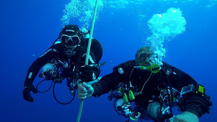 Hundidos - Participation