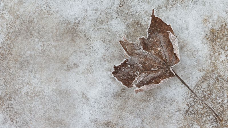 Una masa de aire polar desplomará las temperaturas