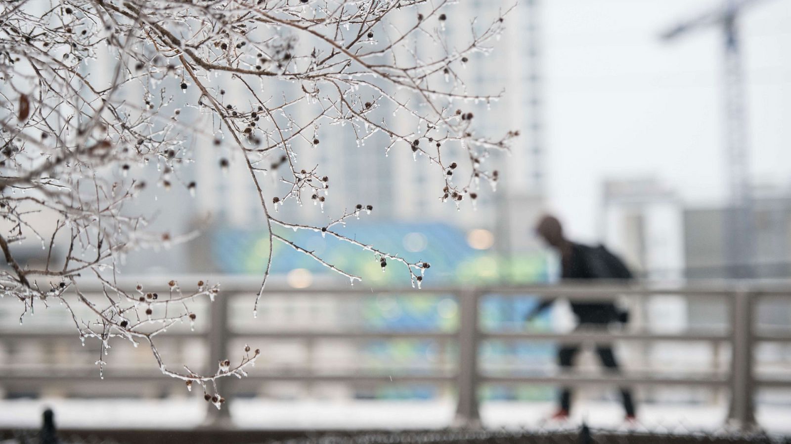 El Tiempo en la Comunidad de Madrid - 09/01/19 - ver ahora
