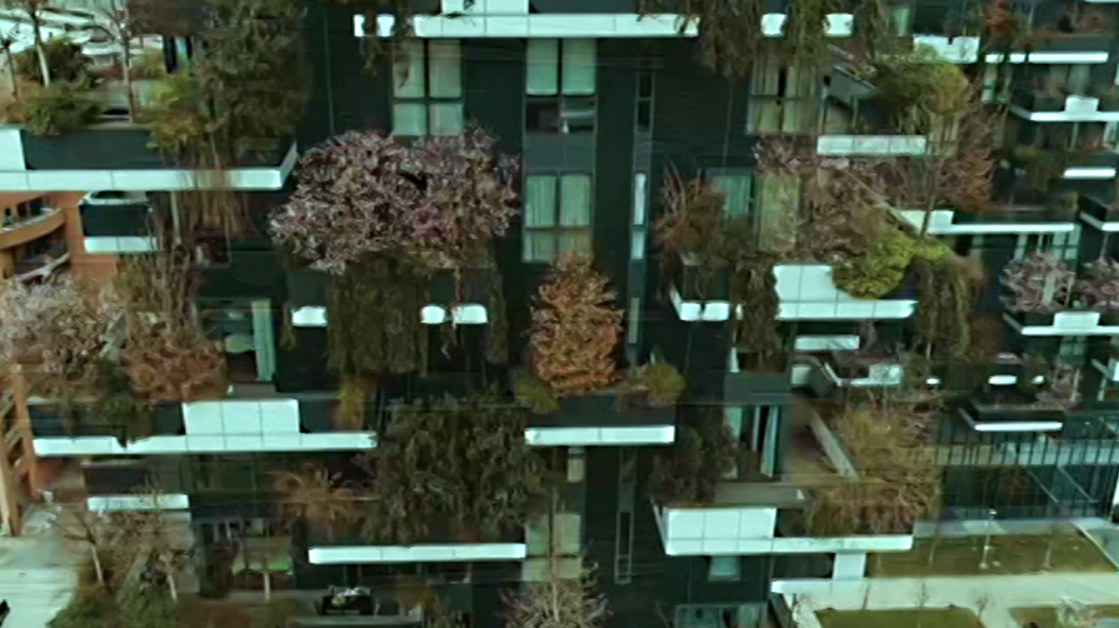 Escala humana - Verde que te quiero verde - ver ahora