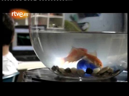 Días de cine - 'La vergüenza'