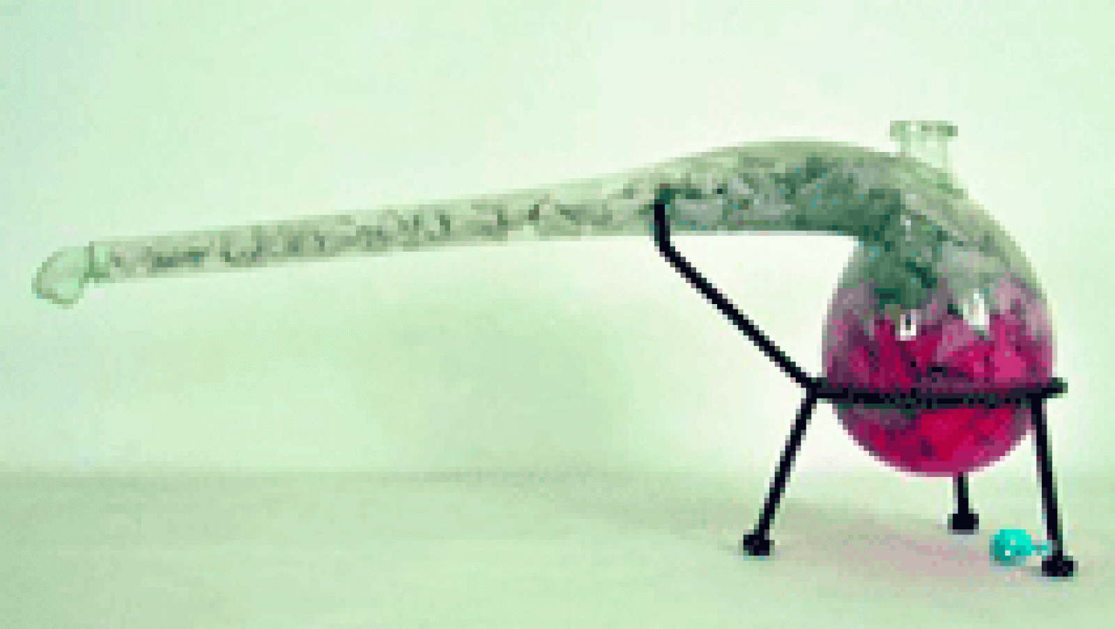 Boek Visual  Ernesto Ventós, Nasevo La aventura del saber perfumista y artista