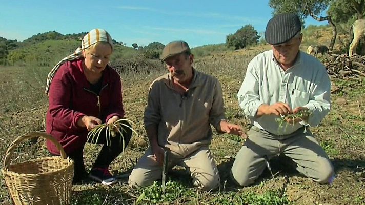 Aquí la Tierra - 10/01/19