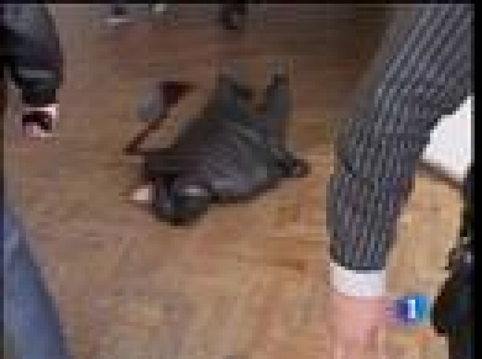 Al menos 13 personas han muerto en un centro universitario de Azerbayán | Ver