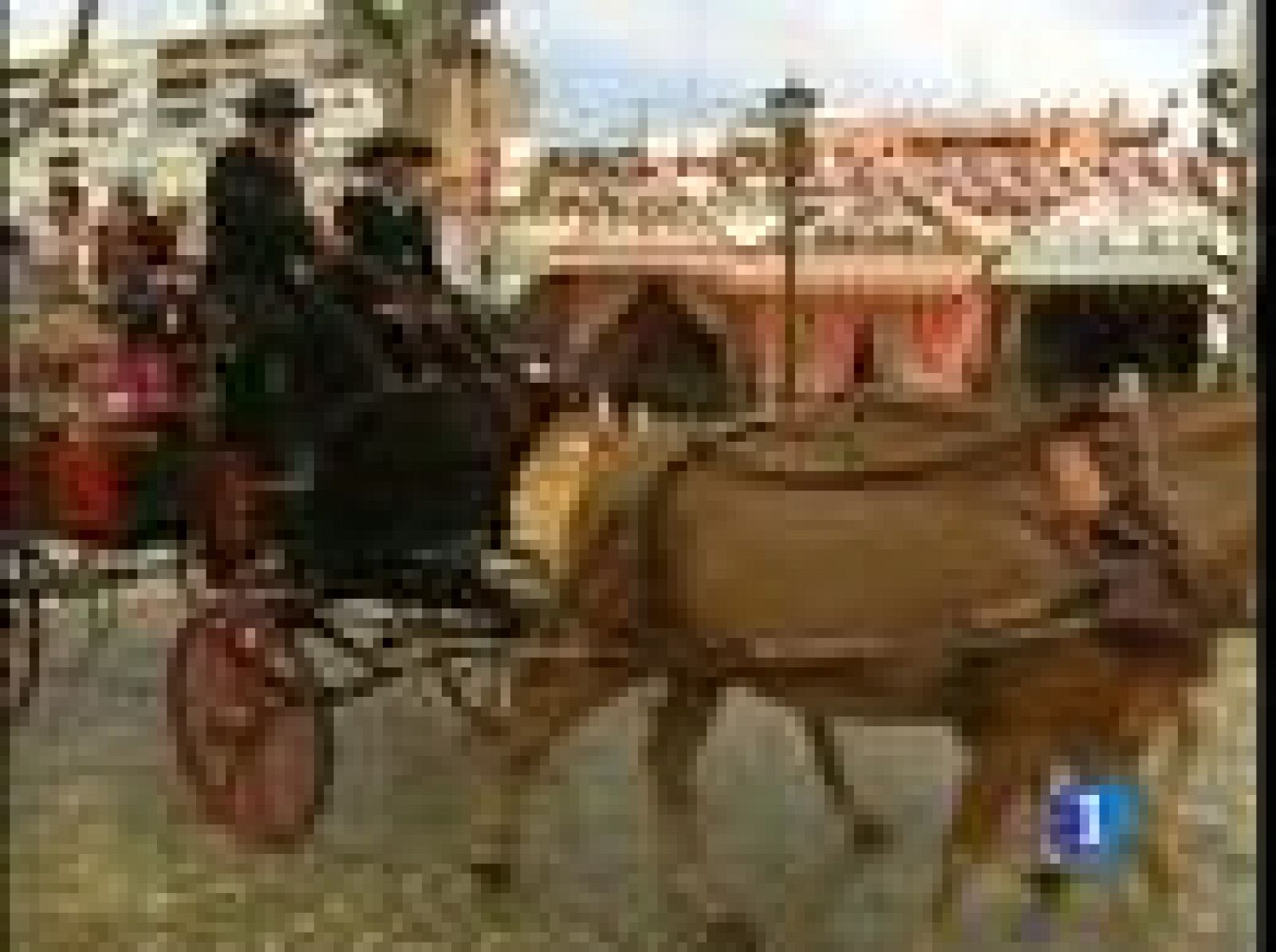 Sin programa: Los caballos en la Feria de Abril | RTVE Play