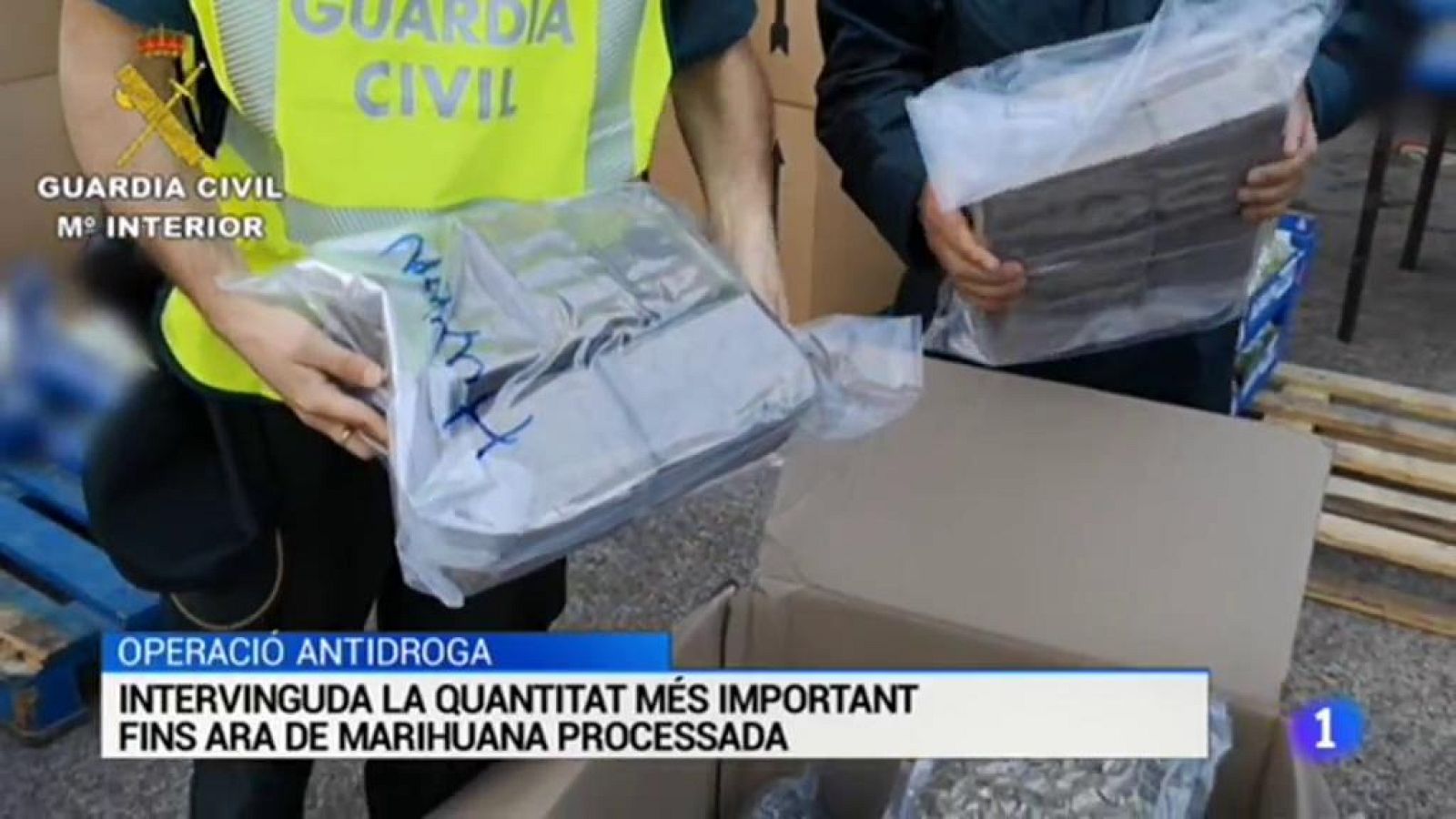 Informatiu en 3' - 11/01/2019