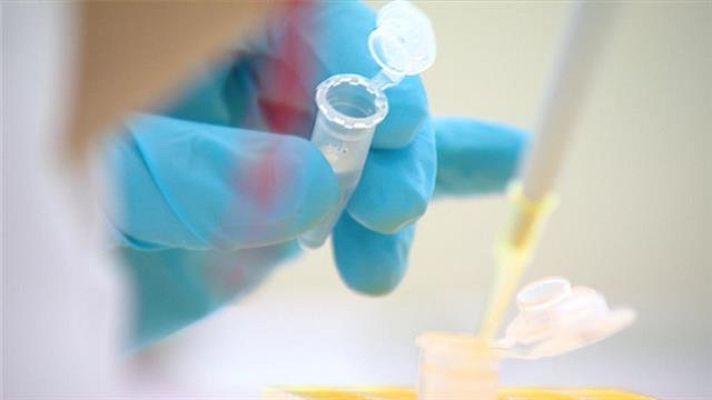 Telecanarias - Canarias en 2' - 11/01/2019