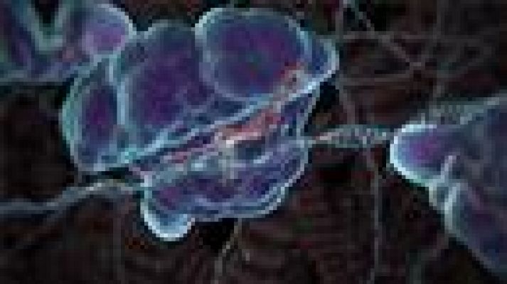 Telecanarias - Telecanarias - 11/01/2019