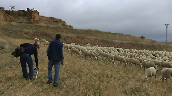 Agrosfera - Agrosfera - 12/01/19