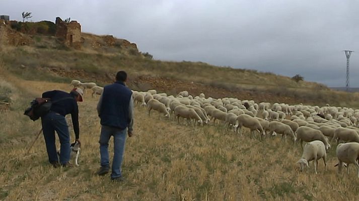 Agrosfera - Agrosfera - 12/01/19