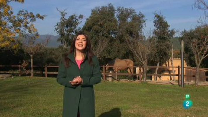 Punts de vista - Punts de vista - 11/01/2019