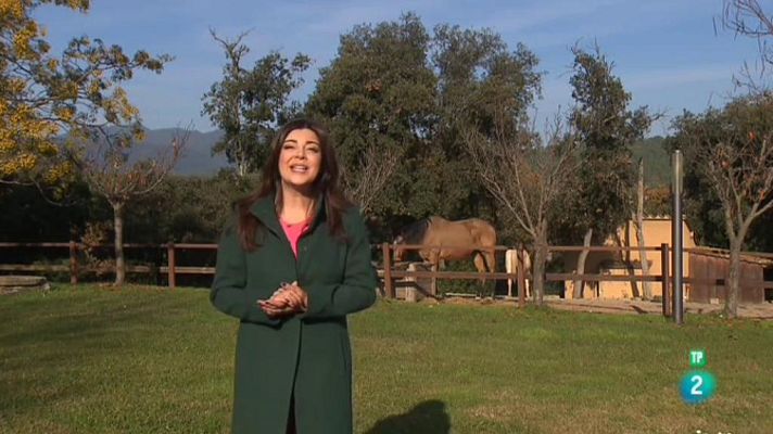 Punts de vista - Punts de vista - 11/01/2019