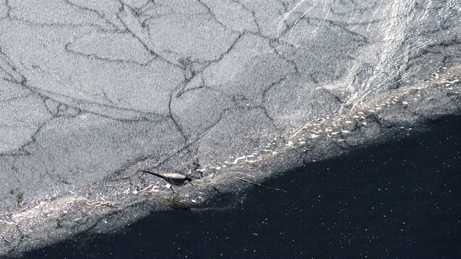 El Tiempo en la Comunidad de Madrid - 14/01/19 - ver ahora