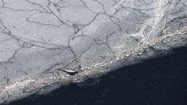 Informativo de Madrid - El Tiempo en la Comunidad de Madrid - 14/01/19