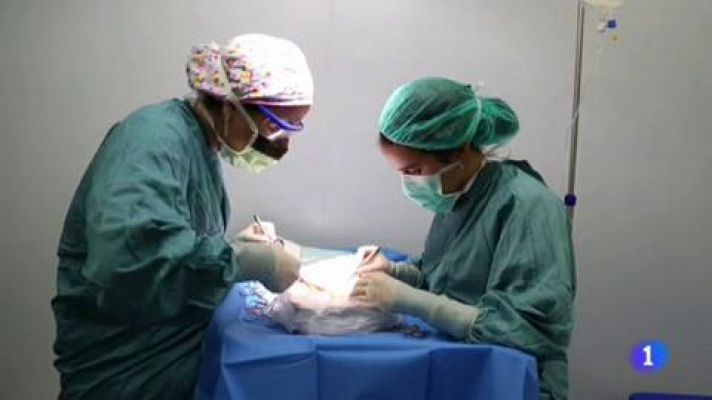 L'Informatiu - L'Informatiu 2 - 14/01/2019