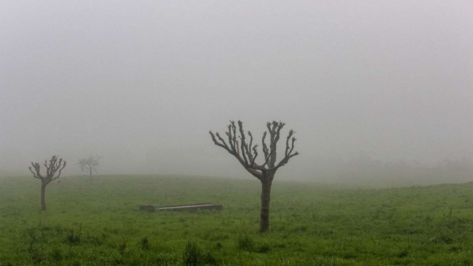 El tiempo: Nieblas localmente persistentes en áreas de Castilla y León | RTVE Play