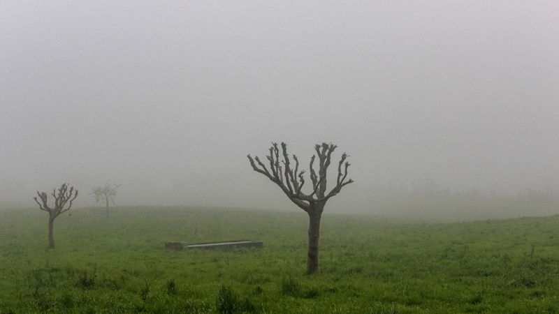 Nieblas localmente persistentes en áreas de Castilla y León - ver ahora