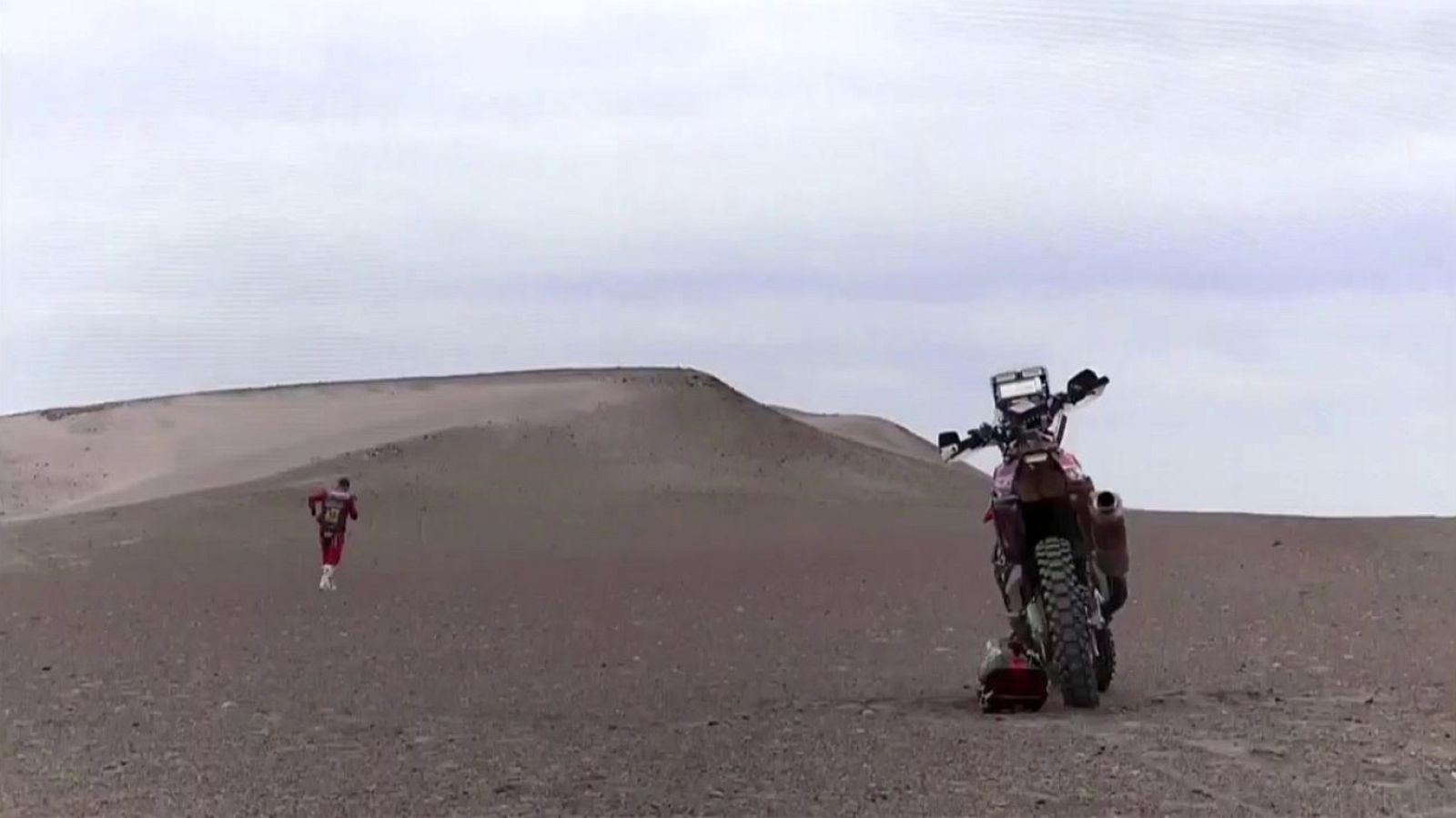 Conexión tdp - 15/01/19 - ver ahora