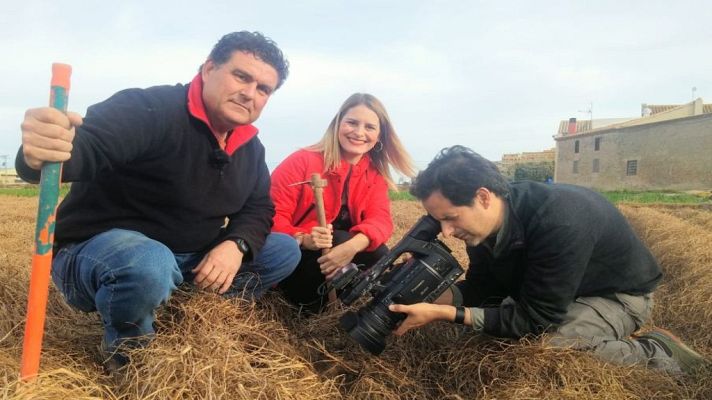 Aquí la Tierra - La chufa es más versátil de lo que piensas