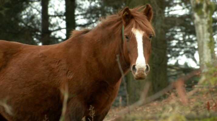 Aquí la Tierra - Aquí la Tierra - 18/01/19