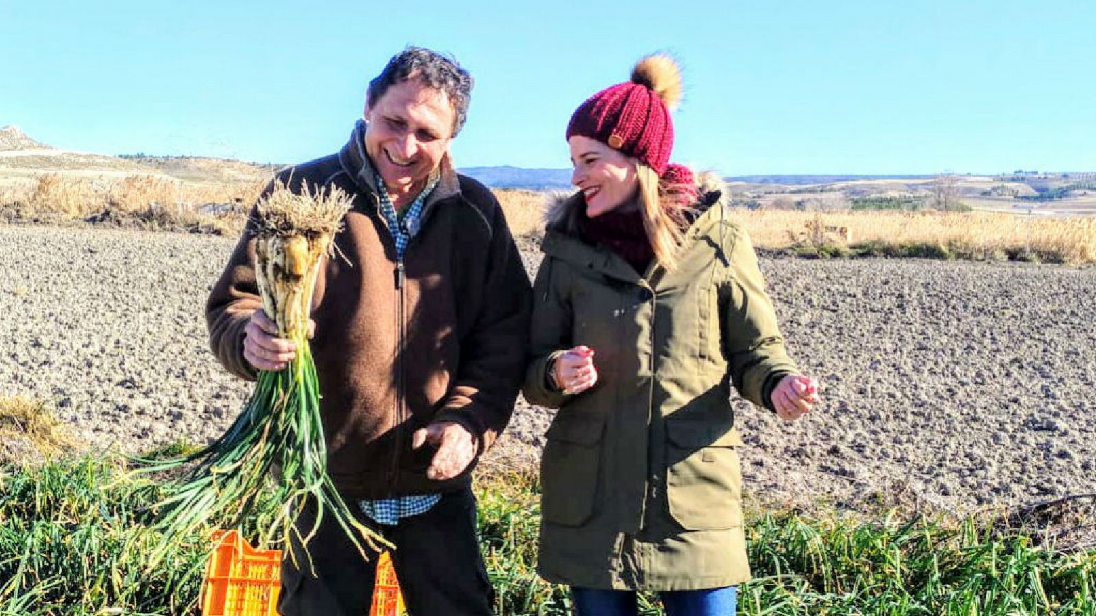 Huerta a temperaturas bajo cero