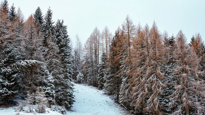 El tiempo - Domingo con lluvias fuertes en el Cantábrico y nieve en montañas del norte