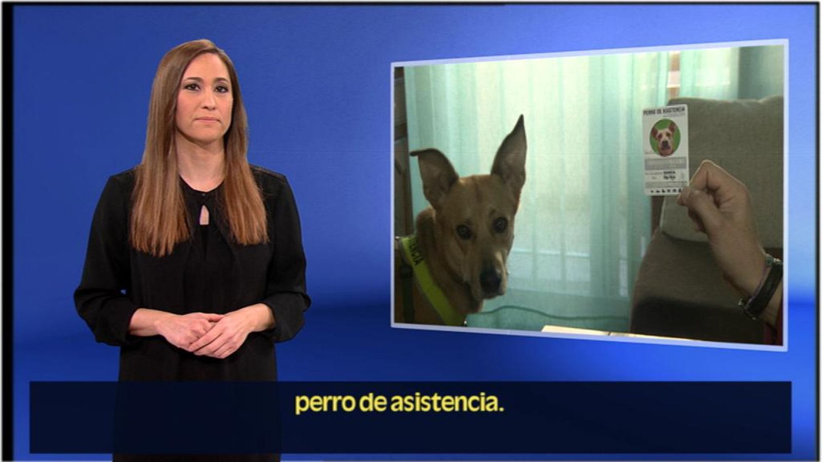 En lengua de signos - 20/01/19 - ver ahora