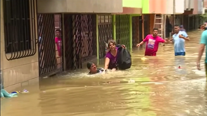 Teleplaneta - Teleplaneta - 21/01/2019