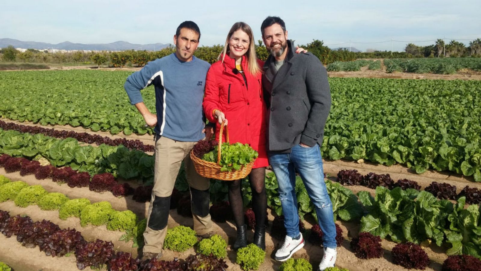 La lechuga, protagonista del plato 