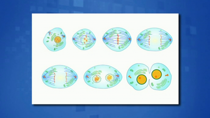 Saber y ganar - Saber y ganar - 22/01/19