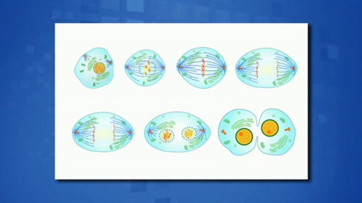 Saber y ganar - Saber y ganar - 22/01/19